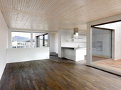 Living room and kitchen